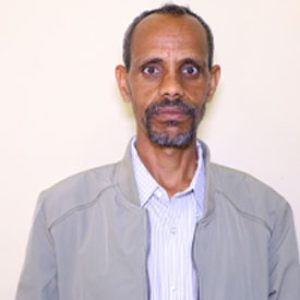 Araya Mesfin
